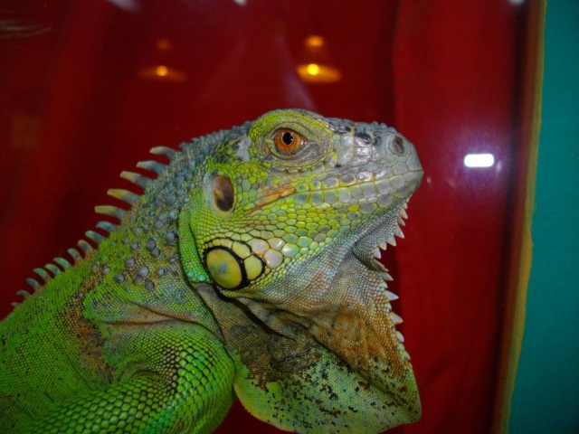imgp3912_640_02